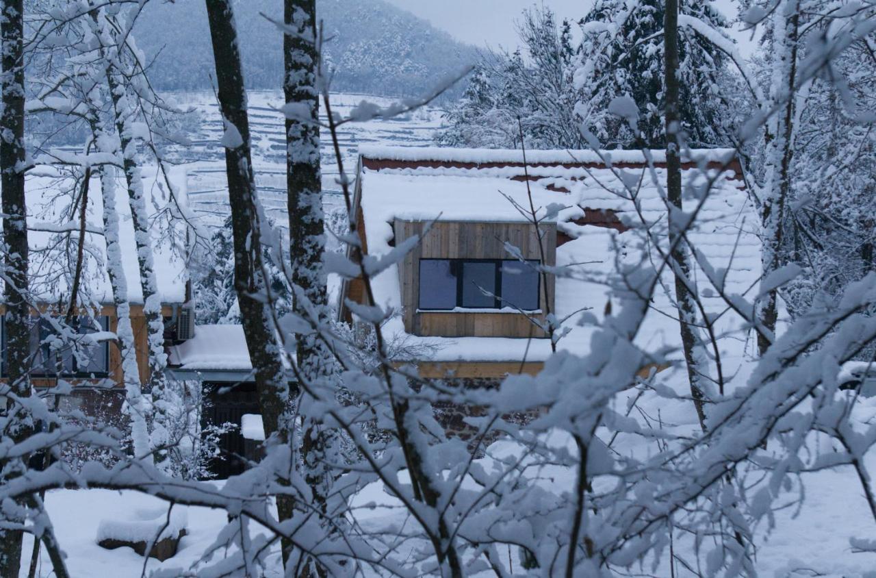 Le Grand Petit Prince - Domaine De Charme - Jacuzzis Privatifs กีบวิลเลอร์ ภายนอก รูปภาพ
