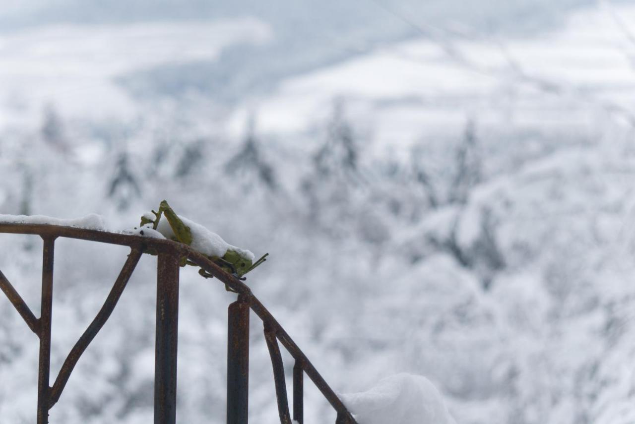 Le Grand Petit Prince - Domaine De Charme - Jacuzzis Privatifs กีบวิลเลอร์ ภายนอก รูปภาพ